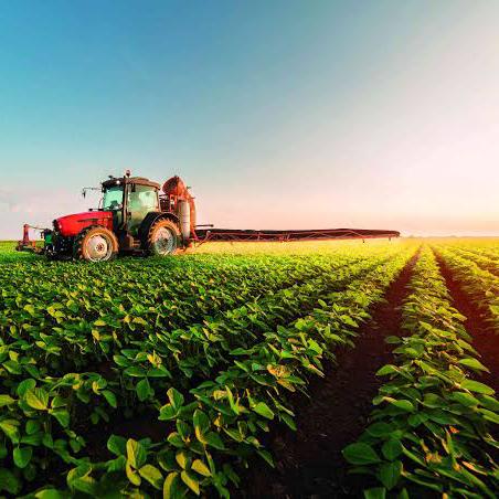 Imagem do grupo Agronegócios